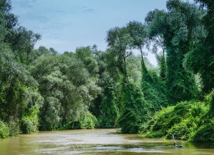 Linistea din Delta Dunarii 
